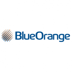 BLUE ORANGE- FIXED RATE BOND 1 YEAR